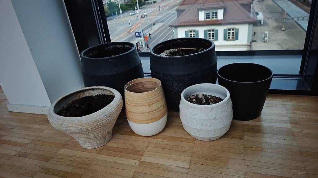 Pots de fleurs: Blumentöpfe  6er-Set – D'occasion à Solothurn par bor_k2fm 1