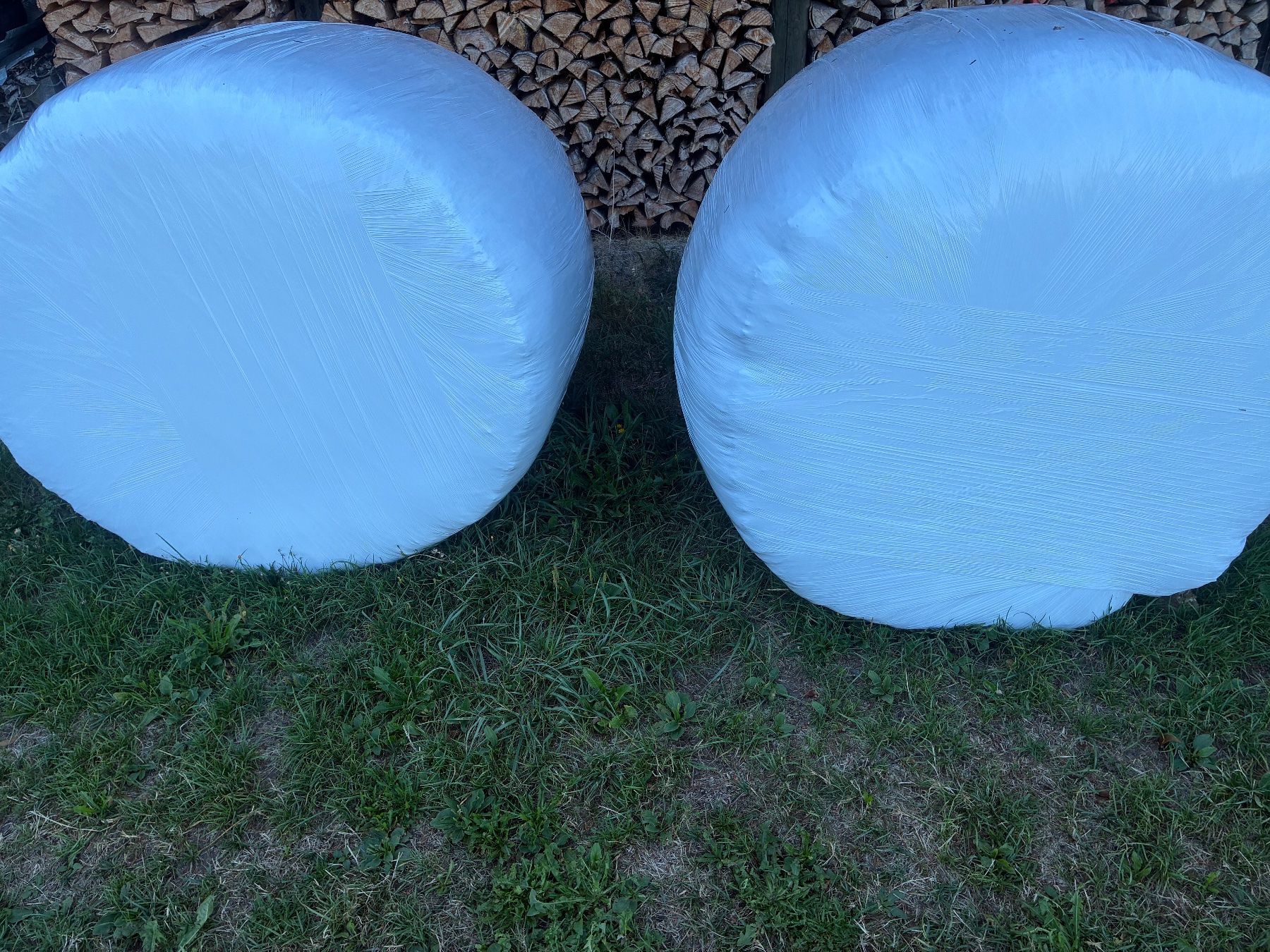 Mangimi: Siloballen – Usato da Signau venduto da pas_62bh