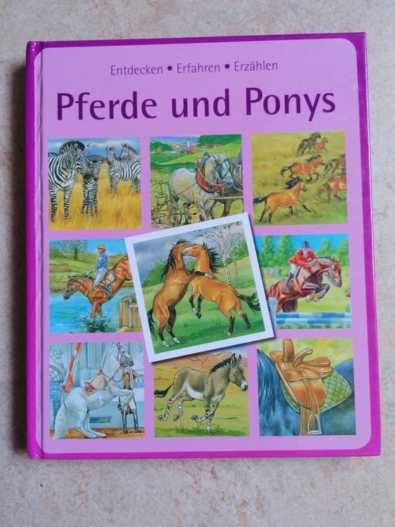 Pferde und Ponys | Kaufen auf Ricardo