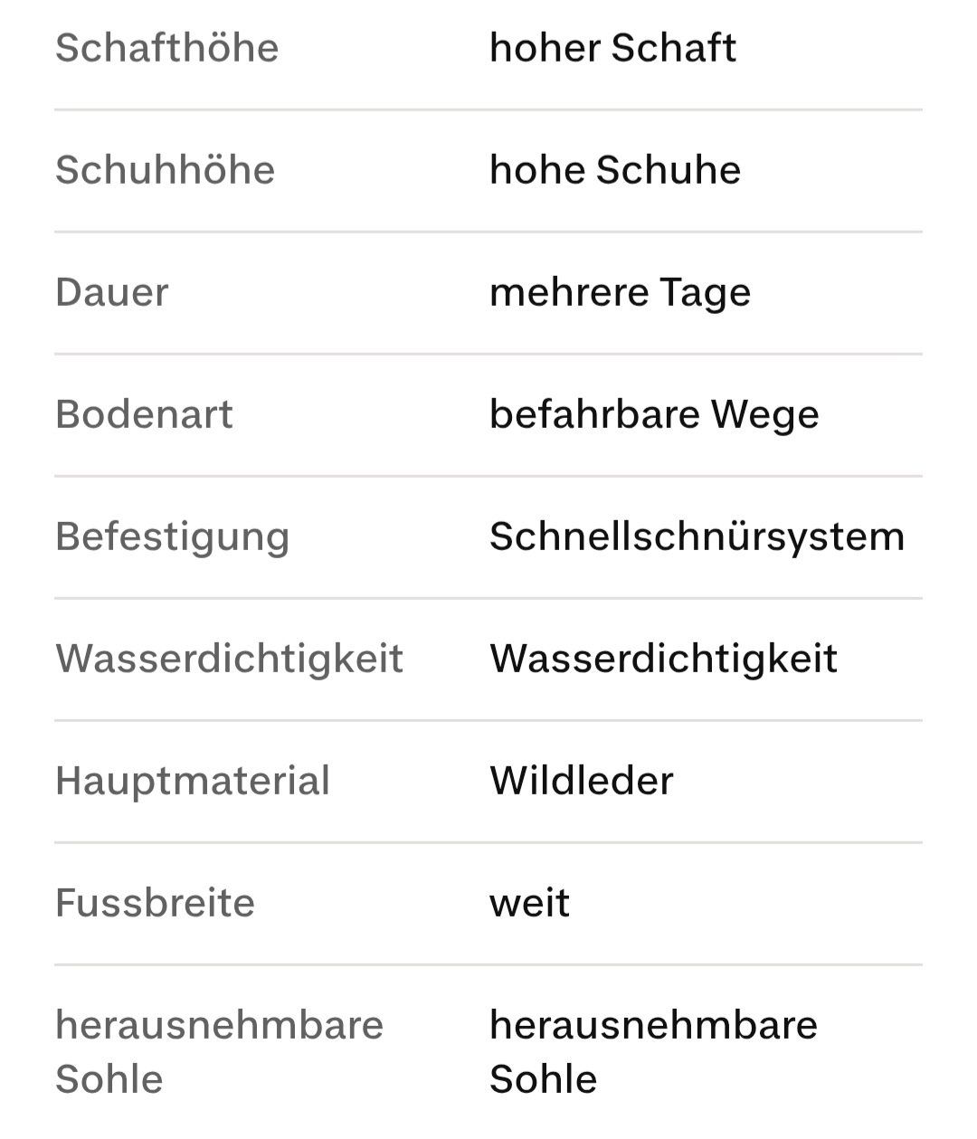 Tecnica Herrenschuhe: Wanderschuhe Grösse 42 – Gebraucht aus Kerns von Cin_g2kx 2