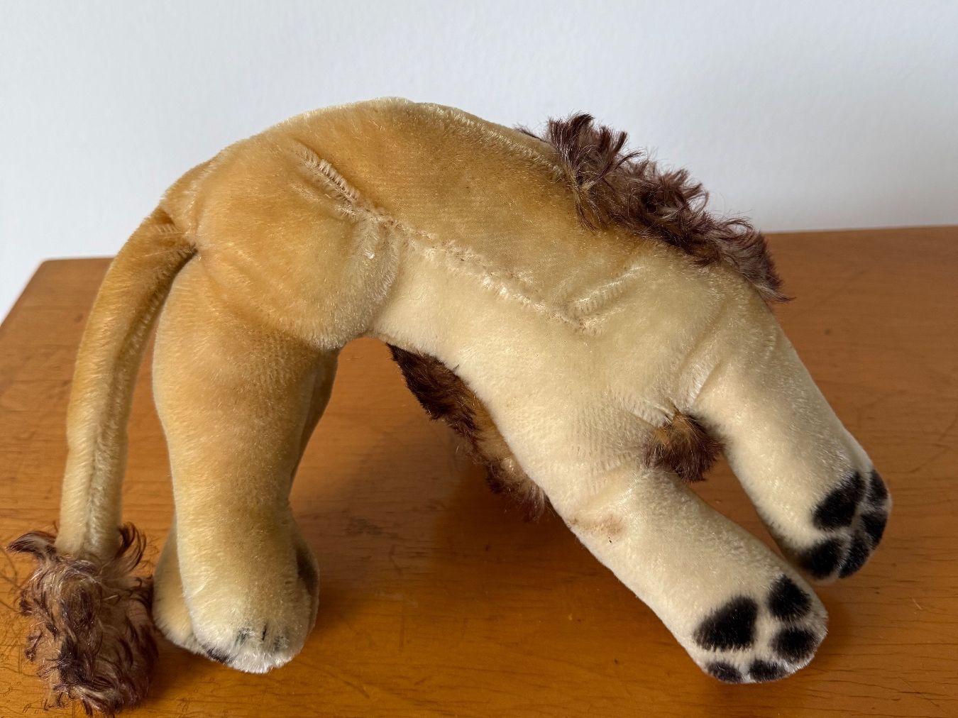 Steiff Giocattoli: Leo Plüschlöwe Steiff ca. 1950 – Usato da Luzern venduto da Mamutpe 1