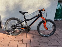 Scott Scale 20"