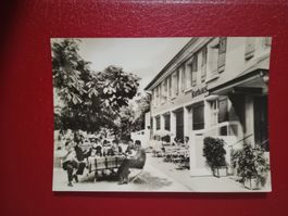 Preles Bern Hotel Pension Bären belebte s/w Karte