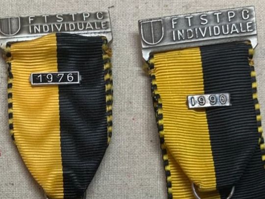 Medaglie: Ticino - medaglie - "FTSTPC - Individuale" – Usato da Sorengo venduto da 74in 2