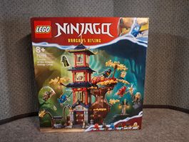 Lego 71795 Ninjago Tempel der Drachenpower