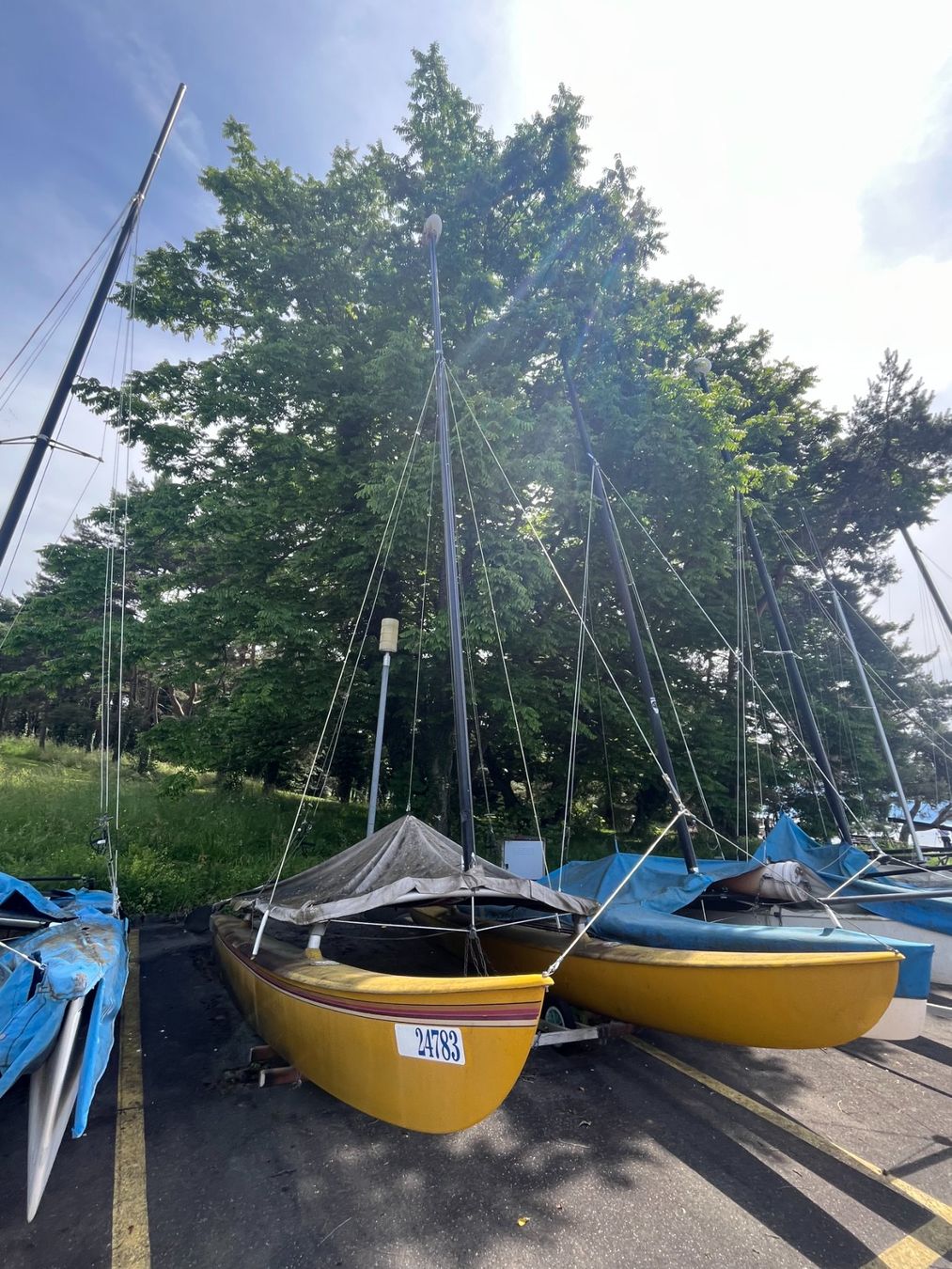 Hobie Cat Bateaux: Hobie Cat 16 (Catamaran) – D'occasion à Lausanne par