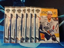 SportZoo Sammelkarten/Zug/BaseSet