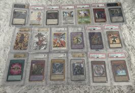 Slab Graded TCG Sammlung, PSA/BGS