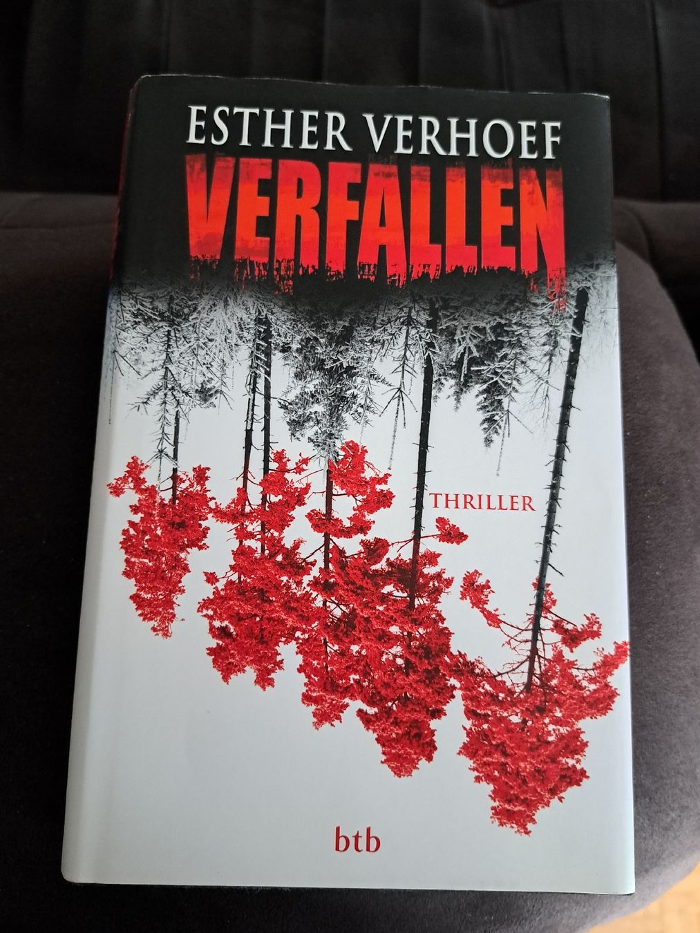 Libri: Esther Verhoef VERFALLEN – Usato da Bellach venduto da TORA4