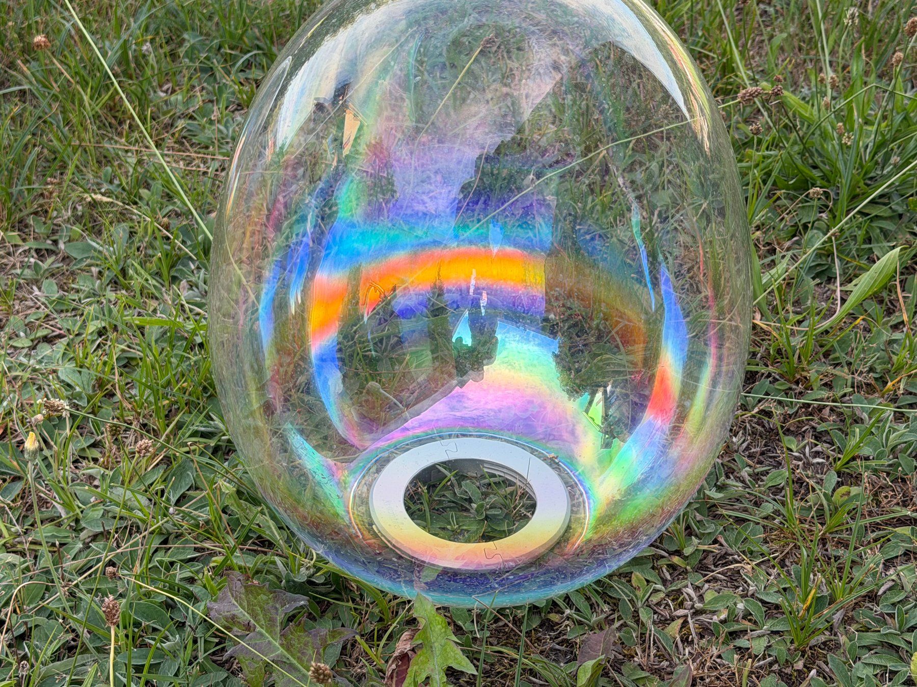 Tutte le decorazioni: Glas zu Artemide Stellar Nebula (auch als Deko) – Usato da Baar venduto da Jackymann3 1