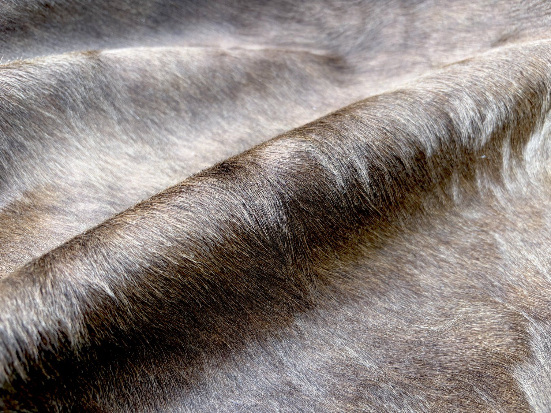 Tappeti: echtes Kuhfell Teppich alpen – Nuovo e nell'imballaggio originale da Arbedo venduto da patagonialeatherrugs 5