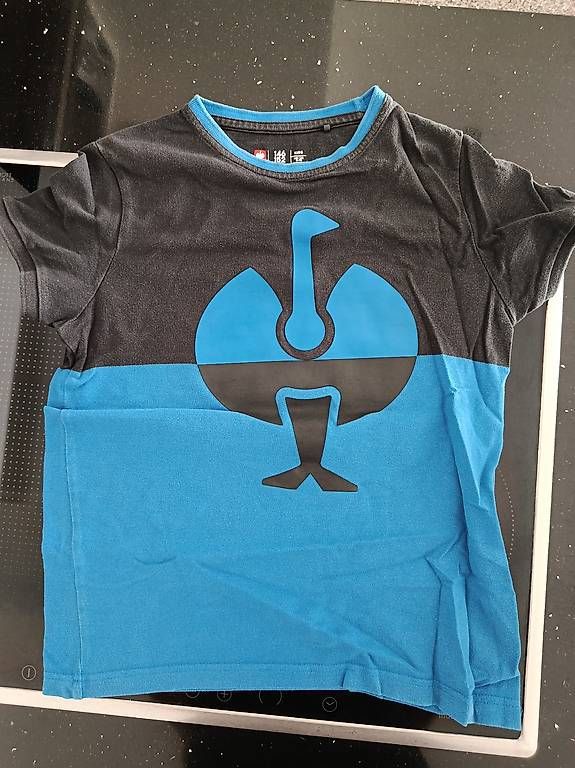 Hemden, T-Shirts & Polos: Strauss T Shirts 146/152 – Gebraucht aus Obergerlafingen von tin_8ls9 1