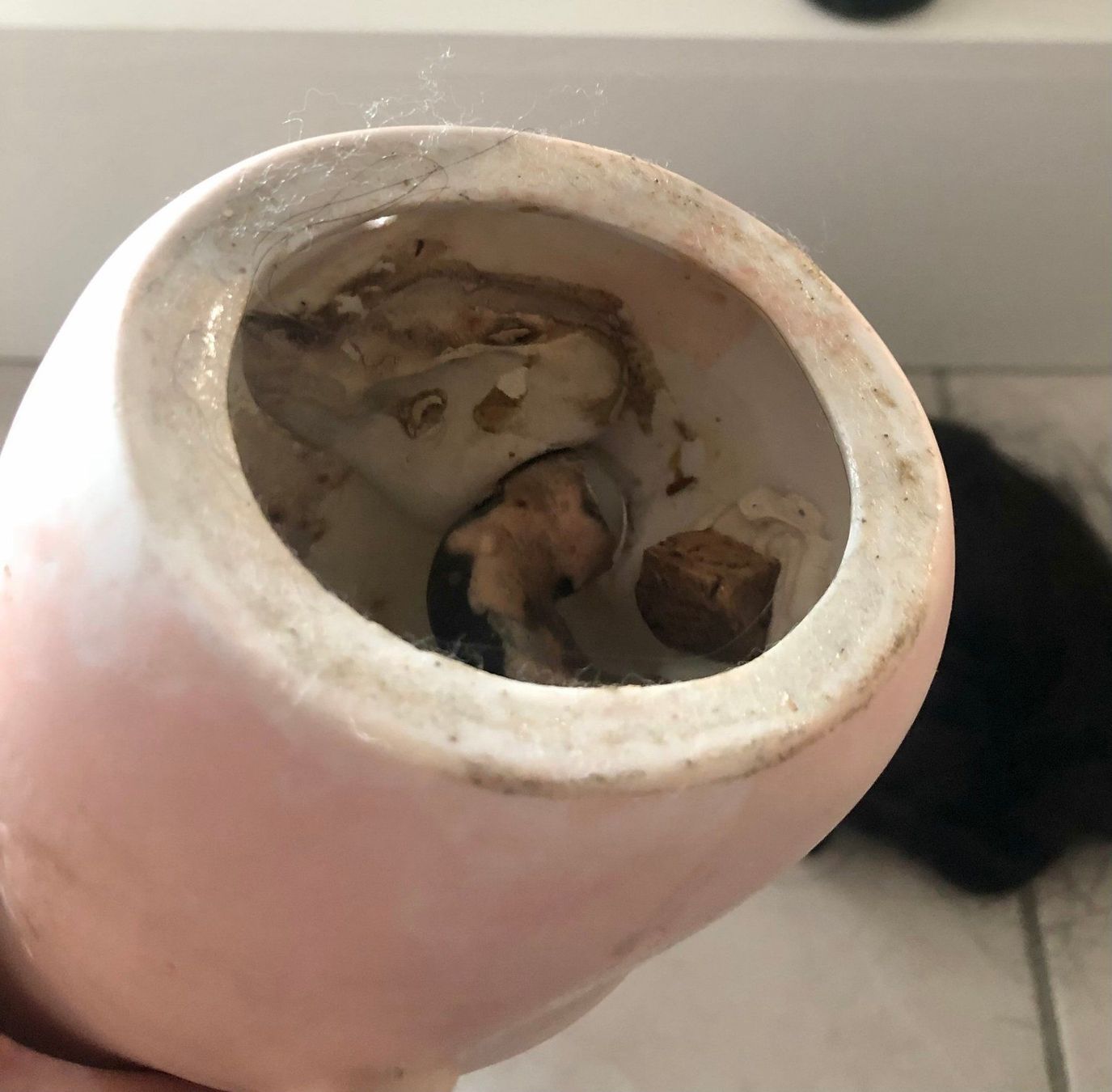 Bambole: Antike grosse Porzellankopf Puppe – Usato da Etoy venduto da Diadefin 5