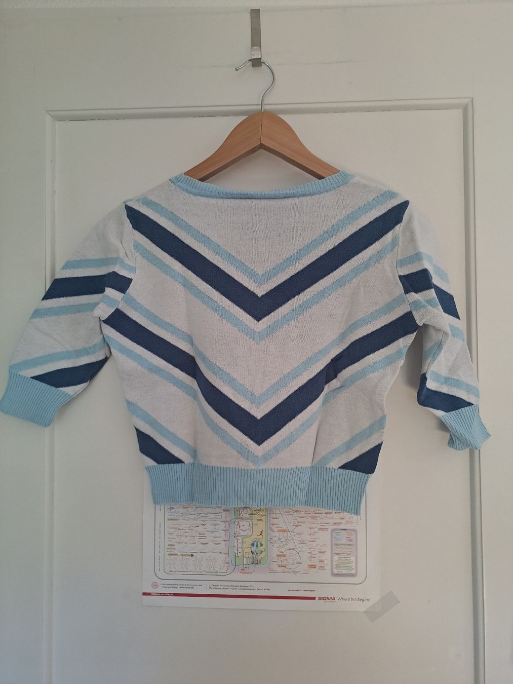Tops: Rockabilly Sweater hellblau – Gebraucht aus Wädenswil von FrieBro 1