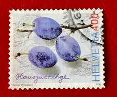  Nr.1213  Hauszwetschge GESTEMPELT    Siehe Original Fotos
