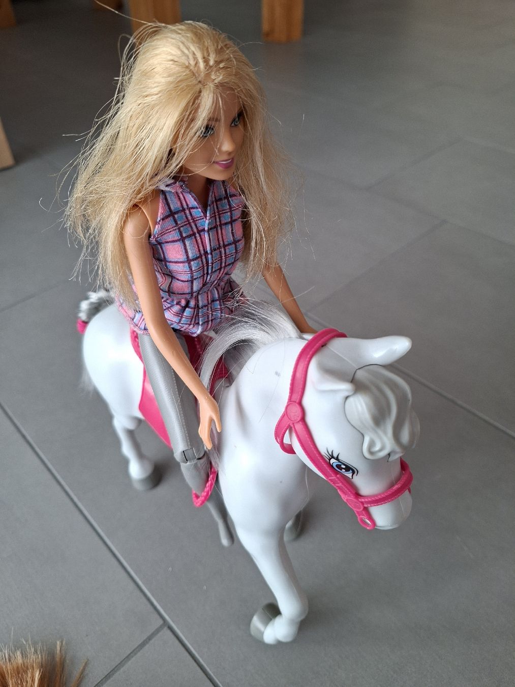 Bambole: Barbie – Usato da Teufenthal AG venduto da ChT. 1