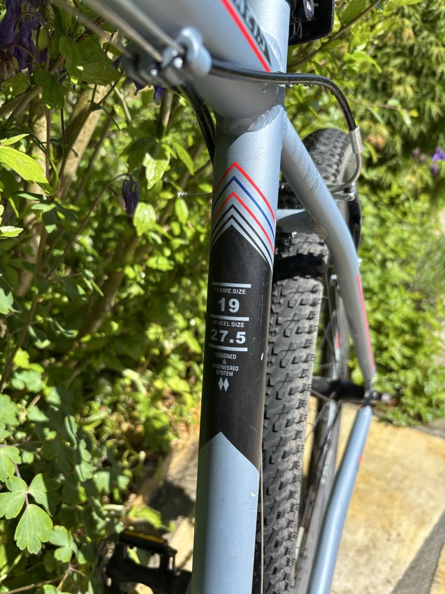 Trelago Biciclette: Trelago Bike – Usato da Volketswil venduto da Philip74 3