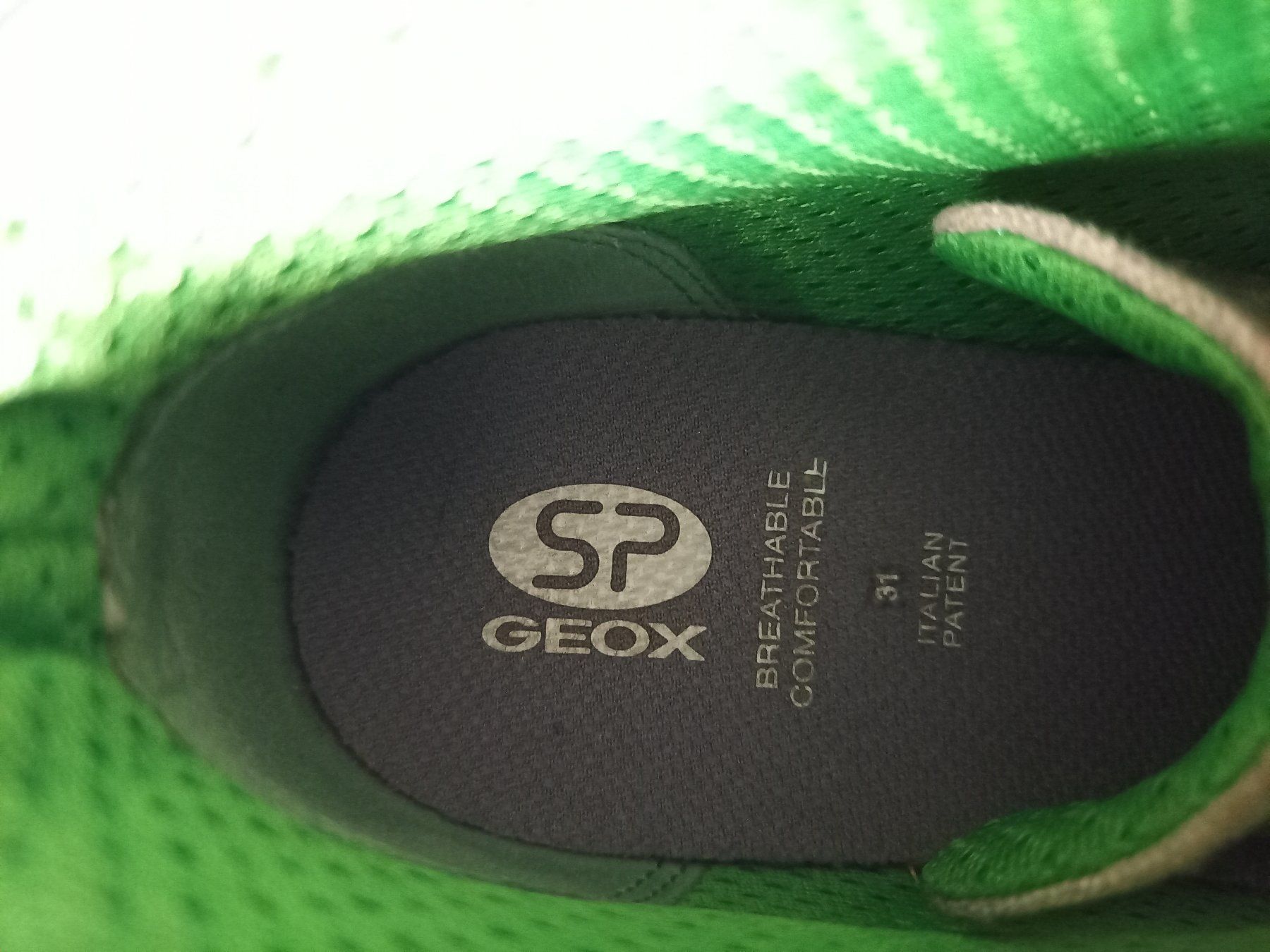 Geox Schuhe für Jungen: coole GEOX Turnschuhe Gr. 31 – Gebraucht aus Unterengstringen von saraman 2