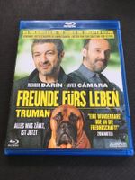 Freunde fürs Leben [Blu-ray]