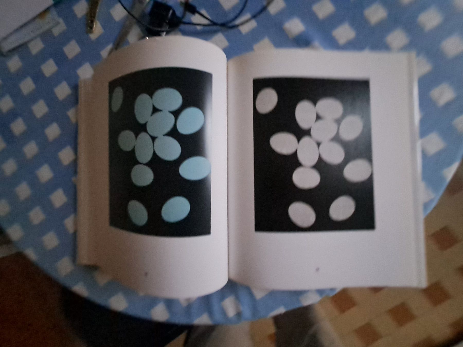 Bücher: EGGS ANDY WARHOL – Gebraucht aus LAUSANNE von KWEW 3