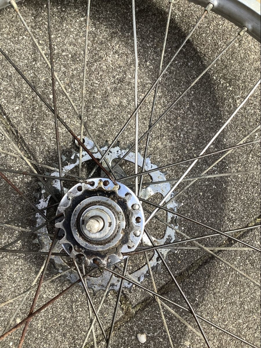 Pneumatici & Ruote complete: Mofa Rad 23 Zoll – Usato da Zofingen venduto da Borni53 3