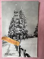 Bachtel-Kulm im Winter
