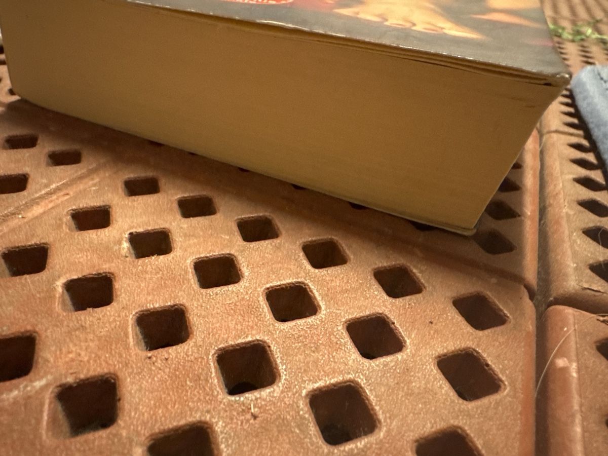 Bücher: Robin Lyall Berührt Taschenbuch – Gebraucht aus Zürich von Belisimo 1