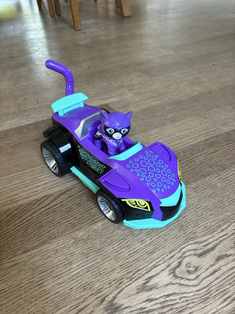 Giocattoli: Paw Patrol Auto und Figur  – Usato da Liebefeld venduto da dschegi