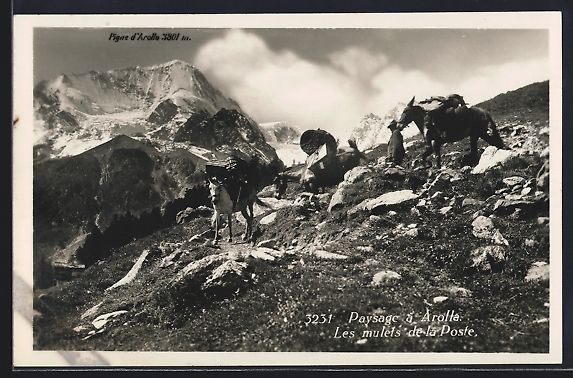 Ansichtskarten: Arolla, Les mulets de la Poste, Pigne d' – Gebraucht aus Berlin von bartko-reher