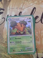 Chelcarain - Heartgold Soulsilver