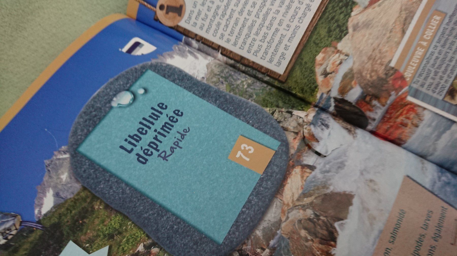 Libri: La Nature Quelle Aventure – Usato da Cortaillod venduto da signep 3