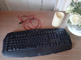 Lioncast LK12 Gaming Keyboard, Top Zustand!