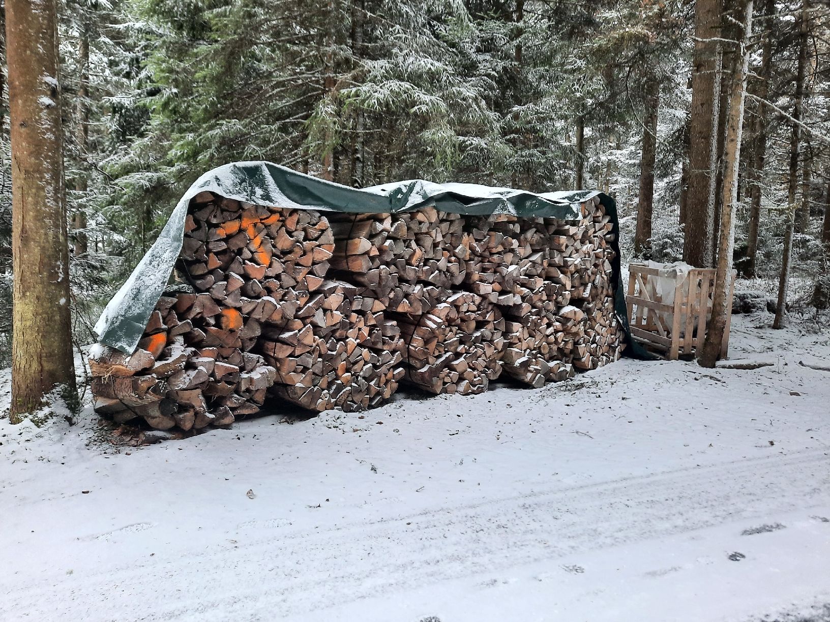 Articoli in legno: brennholz – Nuovo (secondo la descrizione) da Fahrni b. Thun venduto da fri_n652