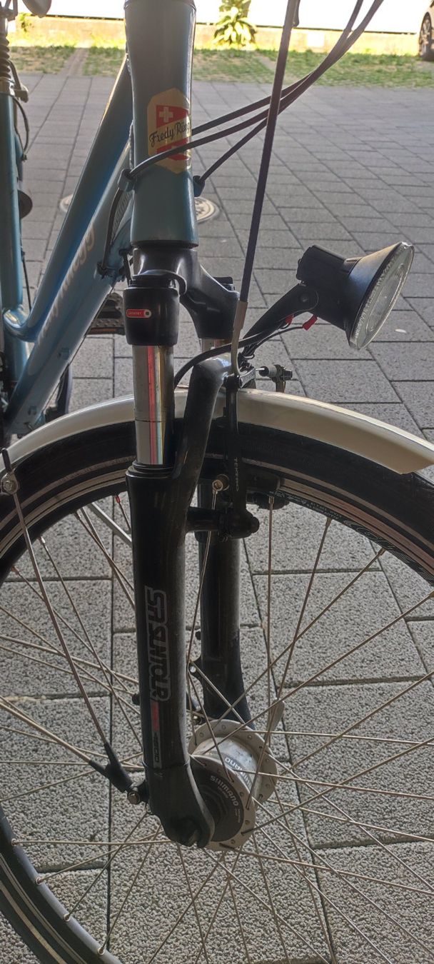 Biciclette: Damenvelo – Usato da Rickenbach LU venduto da 8430DT 7