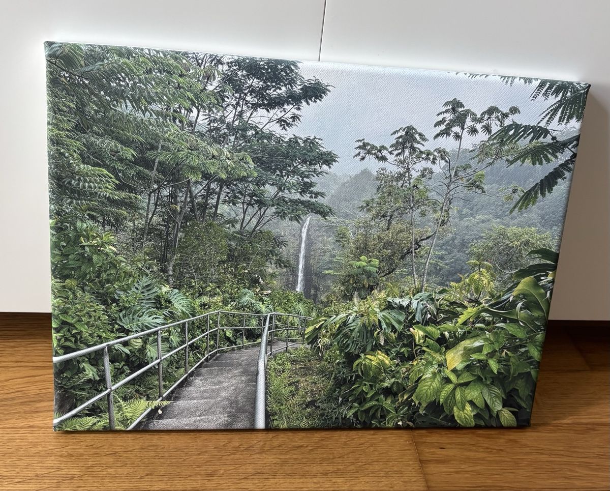 Foto & Immagini: Leinwandbild Hawaii – Usato da Küttigen venduto da Ch.Marugg