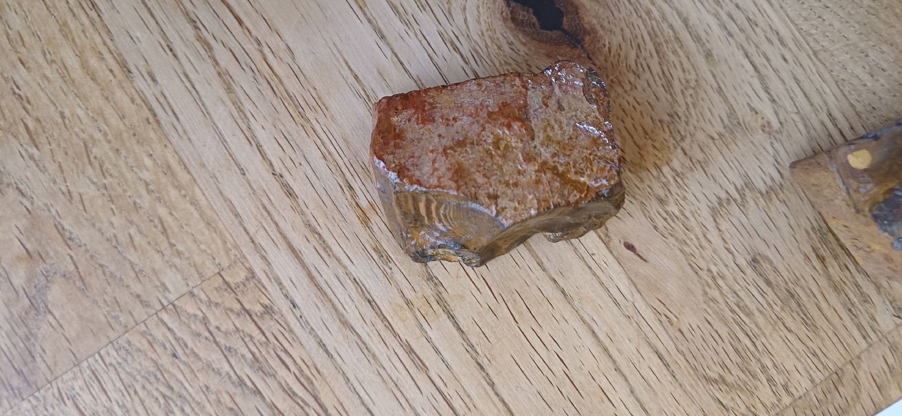 Edelsteine: 0pale Roh 257 Gramm – Gebraucht aus Flawil von Naphtali 5