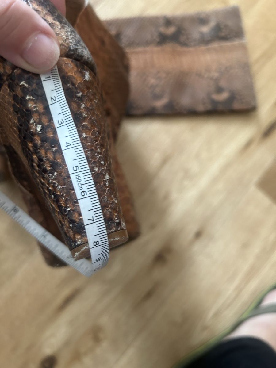 Zara Damenschuhe: Snakeskin look Boots, Block Heel 8cm – Gebraucht aus Thalwil von mar_pvx7 1