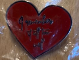 Taylor Swift Pin Anstecker Pop Punk Metal Rock Band