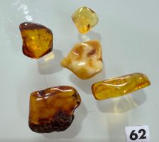 Bernstein Amber   5x top Unikate zum Sammeln     interessant