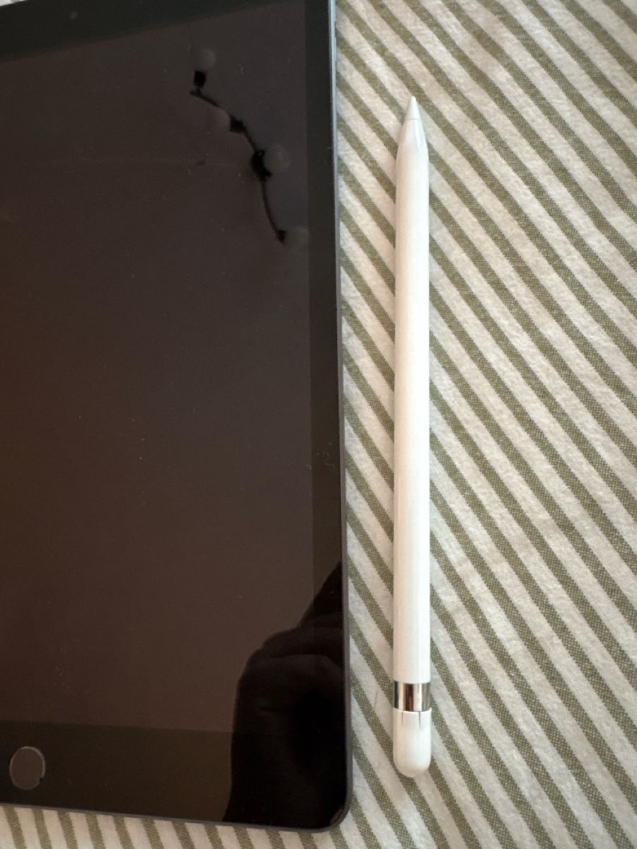 Apple Tablet PC: Apple iPad 9th Gen  – Gebraucht aus Zürich von turtleS07 3
