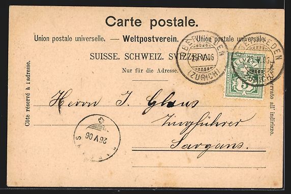 Cartes postales: Thalweil, Totalansicht aus der Vogelscha – D'occasion à Berlin par bartko-reher 1