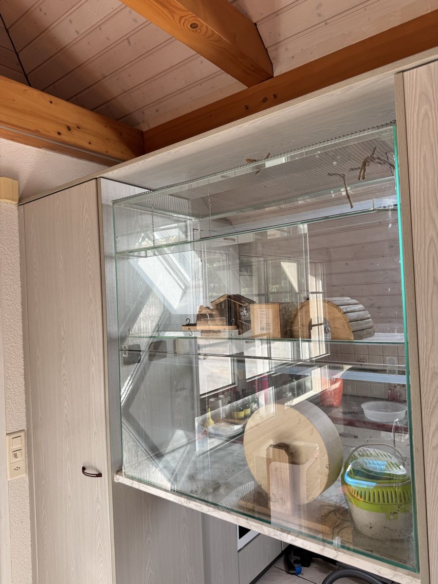 Terrariums: Terrarium 100x100x50 – D'occasion à Finsterhennen par sha_tw9q 2