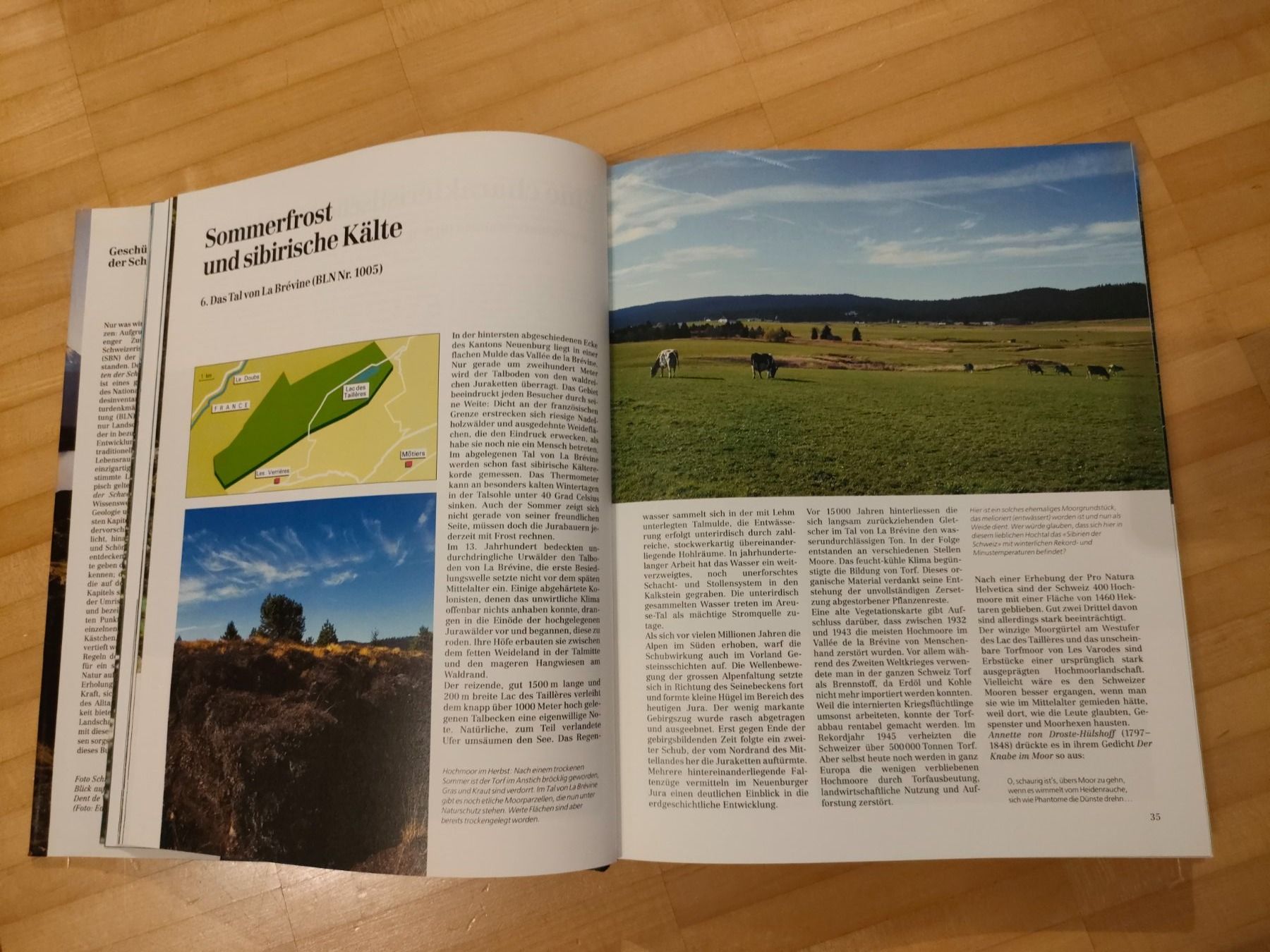 Libri: Buch: Geschützte Landschaft der Schweiz – Usato da Wiesendangen venduto da s_er 2