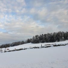 Profile image of Akwawini