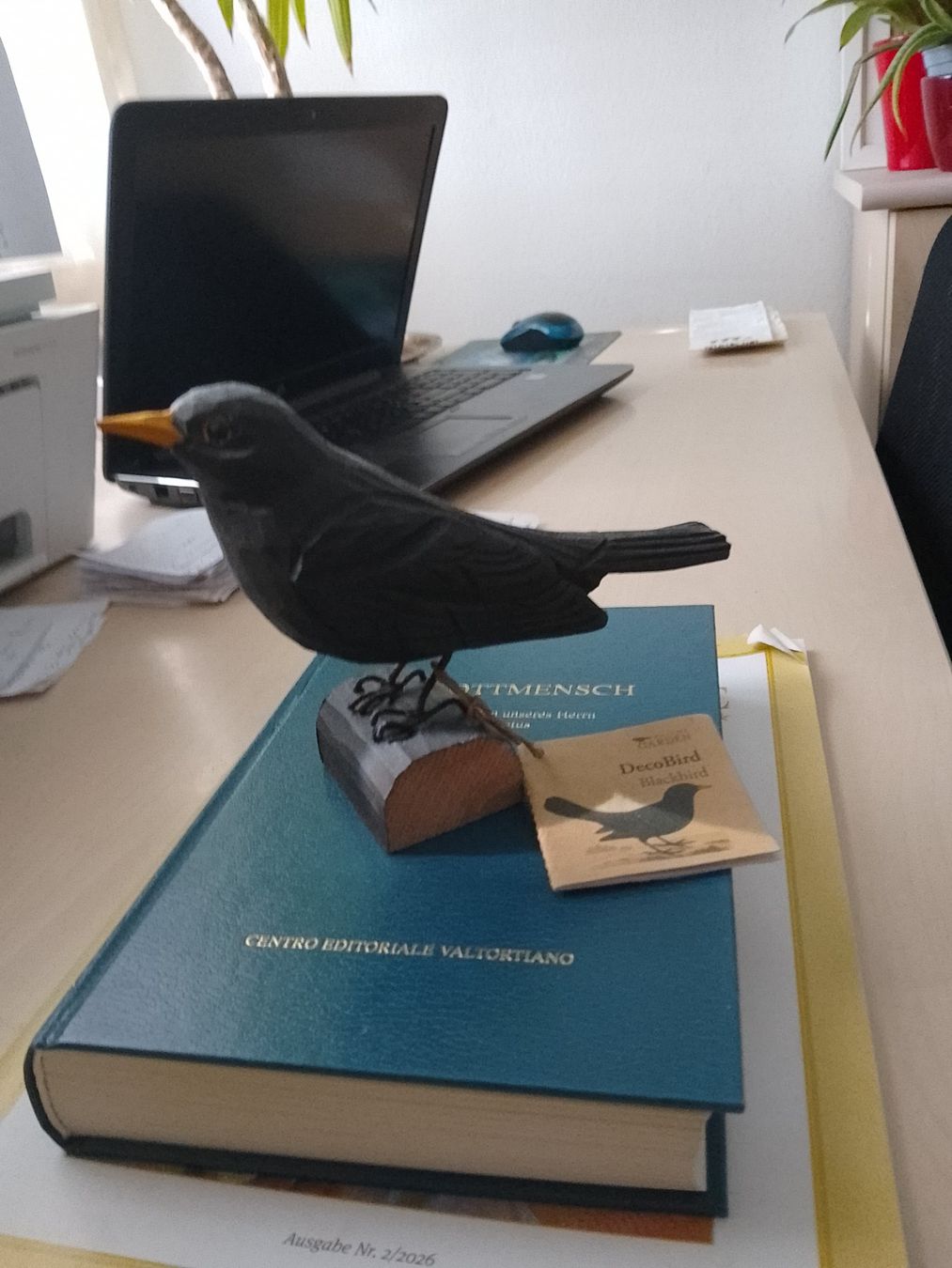 Figurines: Amsel, holzgeschnitzt – Neuf (Voir description) à Weinfelden par PaterPio1968