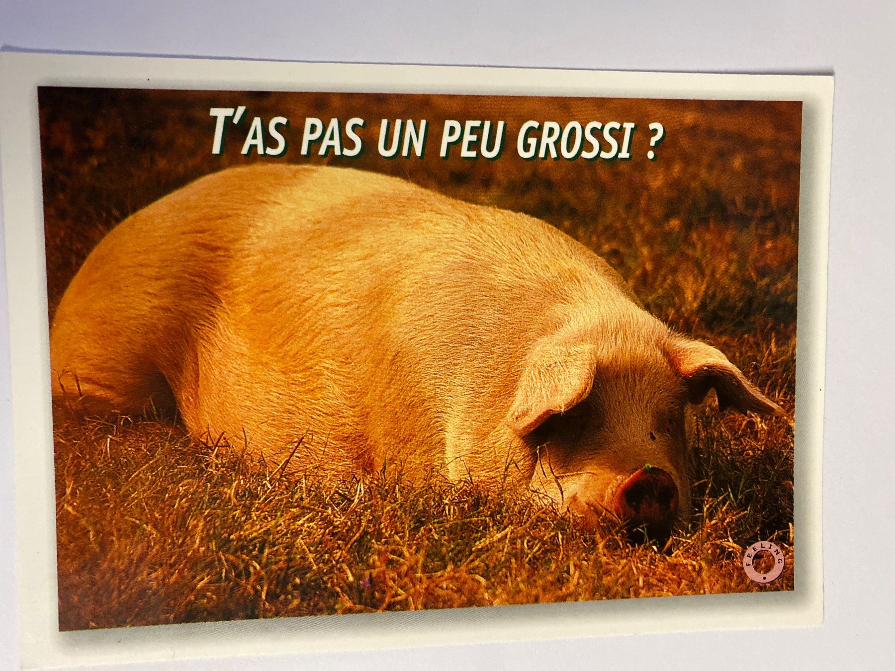Cartoline postali: Carte postale - cochon "T'as pas un peu grossi?" – Usato da Le Brassus venduto da cinema13