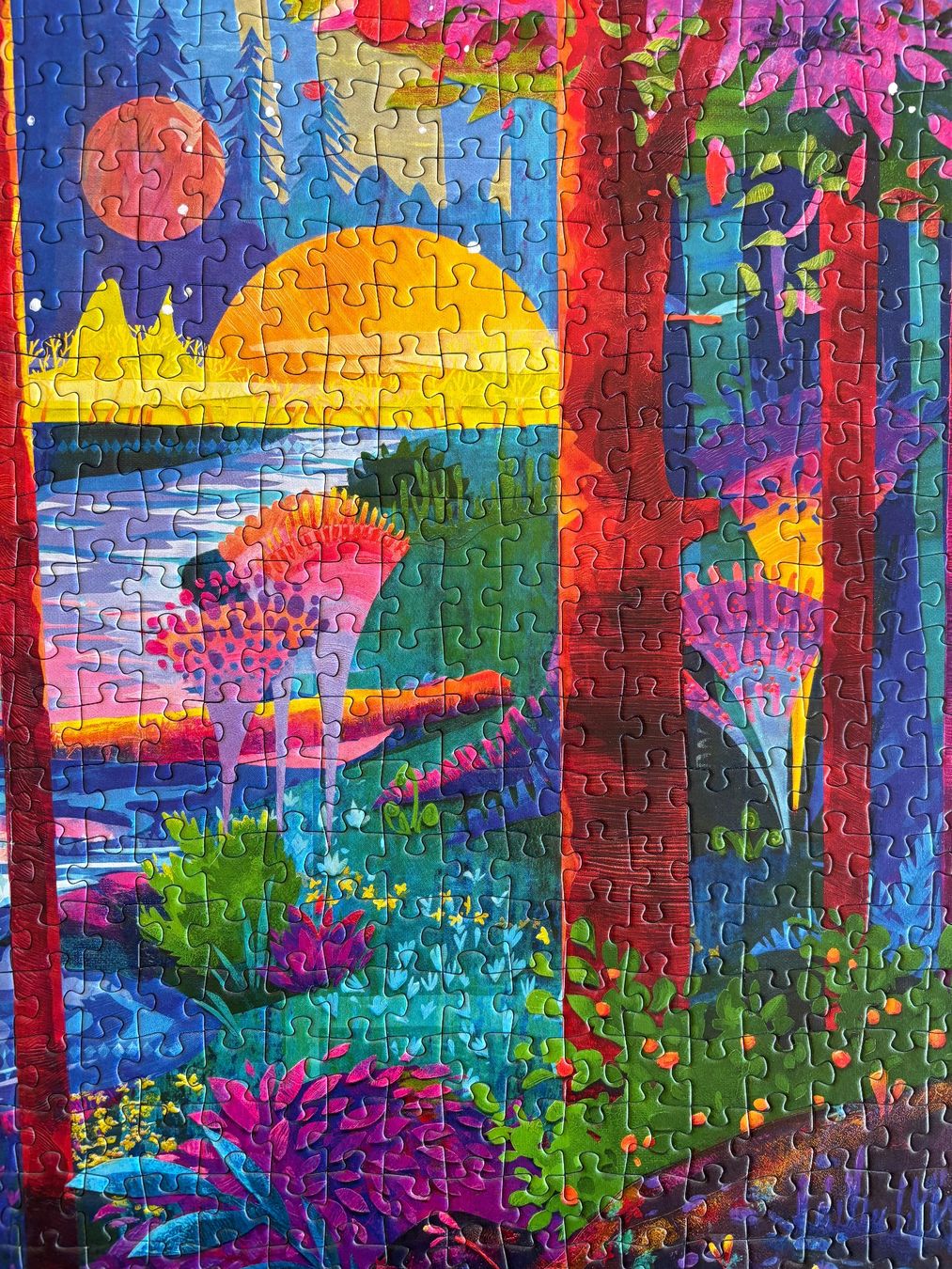 Puzzle: Superbe puzzle 1000 pièces – Usato da Château-d'Oex venduto da ladoszka 2