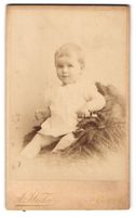 Fotografie A. Wicky, Berne, Niedliches K