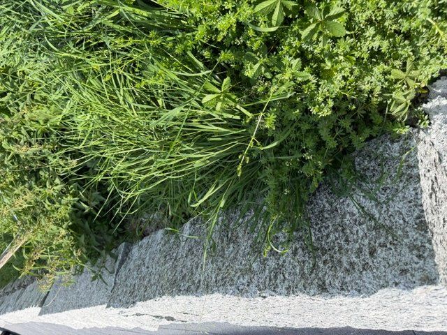 Pietre & tegole: Tessiner Granitsteine – Nuovo (secondo la descrizione) da Ennetmoos venduto da Wernuli 1