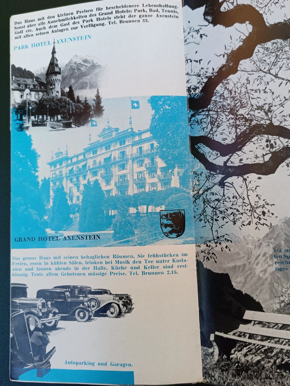 Dokumente: Alter Prospekt / Axenstein - Ausgabe ca. 1930 – Gebraucht aus Brugg AG von Ente015 4